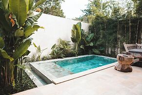 The Soko Bali
