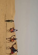 The Captain Desert Camp