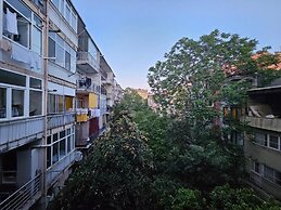 JİRHOUSE SARIKÖŞK SUİT