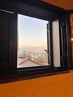 Ciuri's House