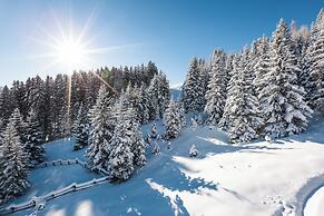 Alpine Hotel Resort Goies