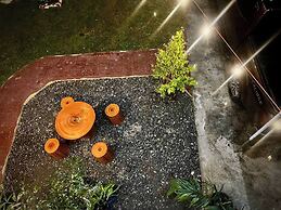Bloomstone Urban Chill Cabin