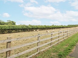 Fields View