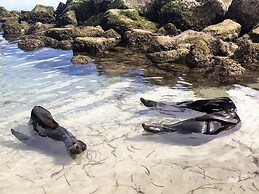 Unwind Coastal Calm Kangaroo Island