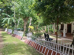 SAALIYAAZ