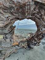 Carters Beach Top 10 Holiday Park
