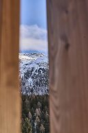 The View