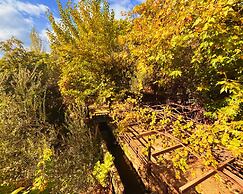 Kybele Nature Life