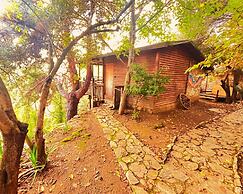 Kybele Nature Life