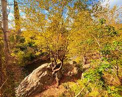 Kybele Nature Life