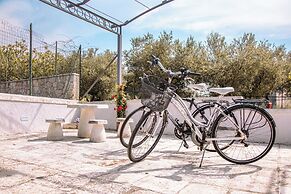 Castellinaria Holiday