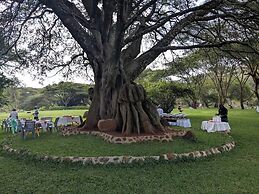 Maasai Lodge