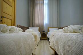 Hotel Mogzauri