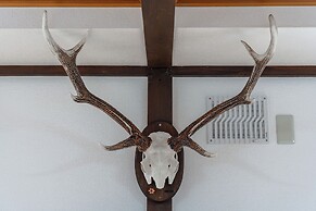 KING DEER