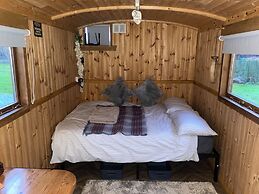 Sharon's Shepherd Hut