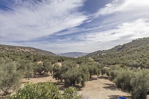 Casa Olivo in Izn jar