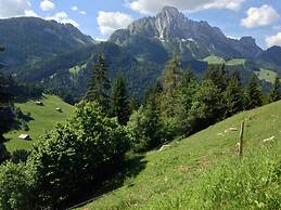 5 BR Gstaad Paradise View Chalet With Outdoor Jacuzzi