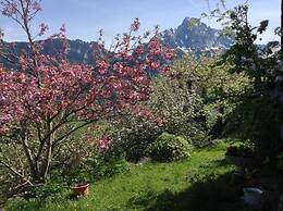 5 BR Gstaad Paradise View Chalet With Outdoor Jacuzzi