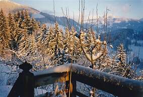 5 BR Gstaad Paradise View Chalet With Outdoor Jacuzzi