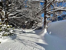 Le Petite Chalet in Rougemont