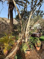 4BR Heaven Close to Nature and Ocean in Quiet Setting
