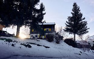Chalet Bouton D Or in La Tzoumaz