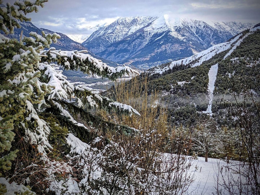 Alpine Chalet La Conchette