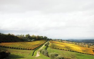 Poderi Arcangelo Glamping