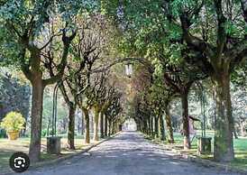 Charming Apt a/c 1br/2p - Rome/camilluccia