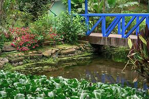 Blue Morpho Lodge