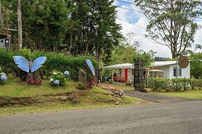 Blue Morpho Lodge