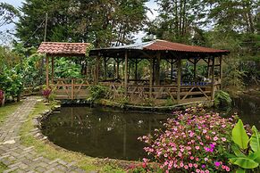 Blue Morpho Lodge