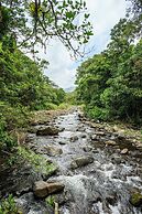 Blue Morpho Lodge