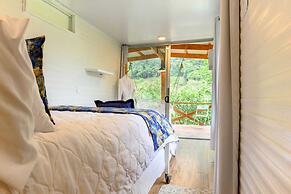 Blue Morpho Lodge