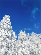 Snow house