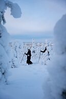 Arctic Lumo Resort