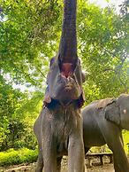 Temple Tiger Resort Chitwan
