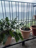 Mountain and peace