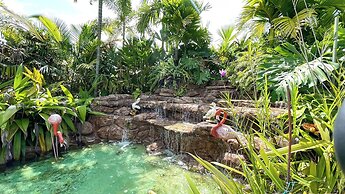 Hotel Playa Maui