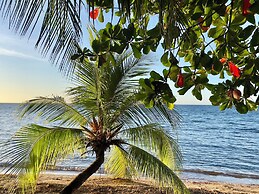 Roatan Infinity Pool & Ocean View