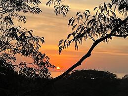 Olas de Oro Nosara