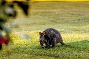 BIG4 Kelso Sands Holiday and Native Wildlife Park