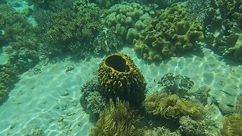 Eagle's Nest Beach Resort- Samal Island
