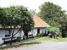 Vineyard cottage Ranč pri Hanzeku