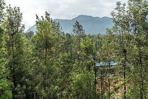 Treebo Arabica Valley-Coffee Plantation Retreat