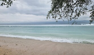 Pine Tree Beach Hotel