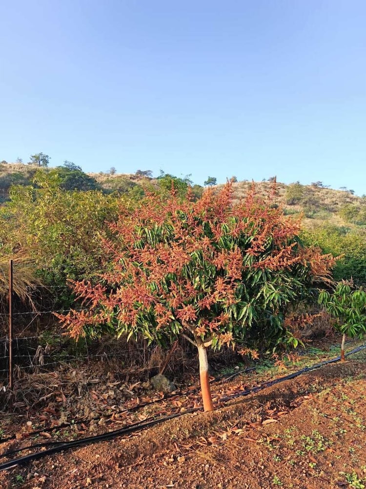 Aikant Agro Tourism Pondewadi
