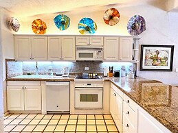 Terrasol Oceanview Condo with Patio