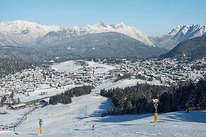The Alpine No 7