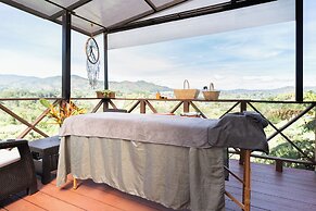 Roots Eco House